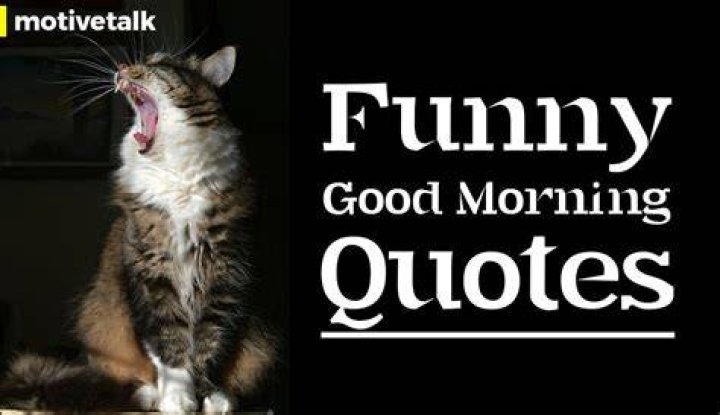 21 Funny Good Morning Quotes That Will Make You Laugh