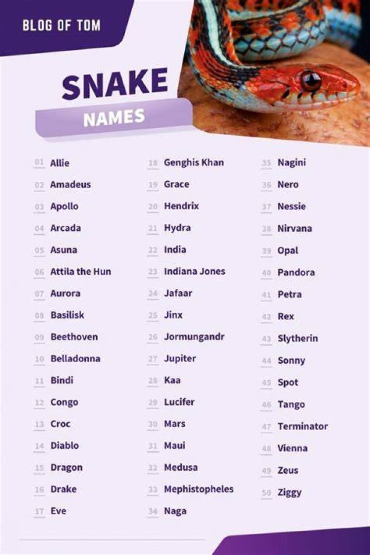 369+ Snake Names (BEST, Cute & Cool Ideas In 2023!)