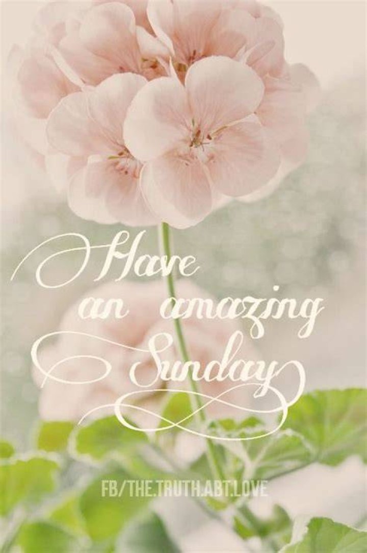 Have an amazing Sunday 😘 goodmorning morningmotivation wisewords 