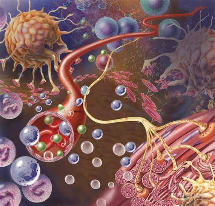 Nerve ending, seen in lower right, sends pain message from injured