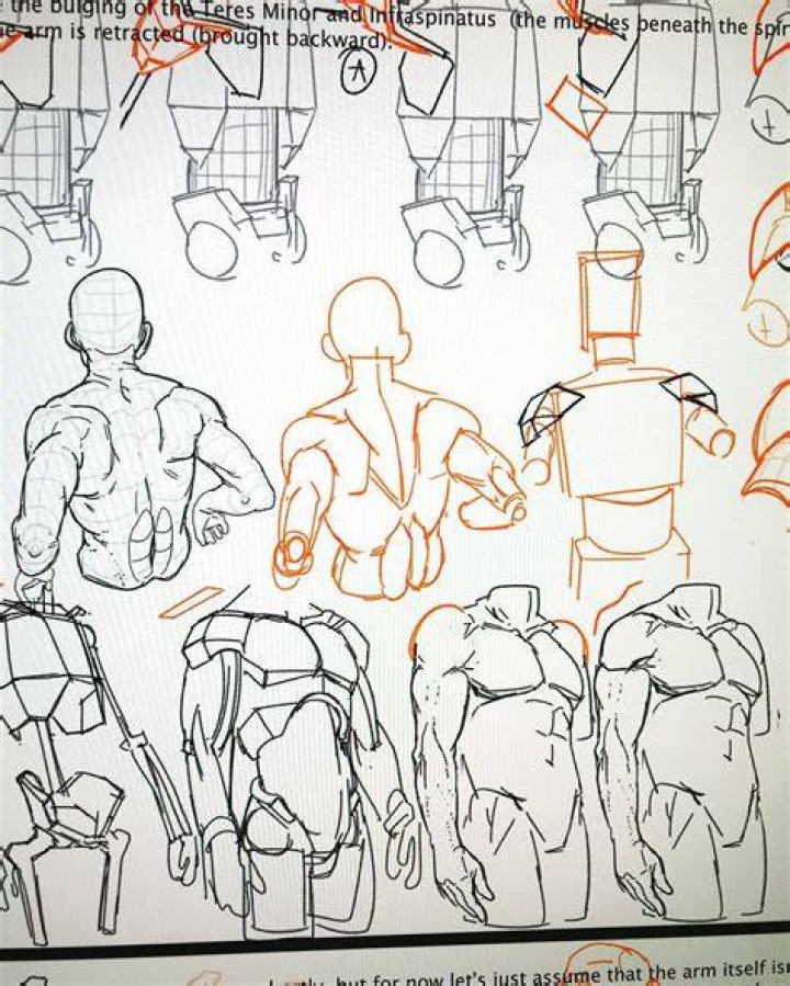 Pin on Anatomy fucking references ffs