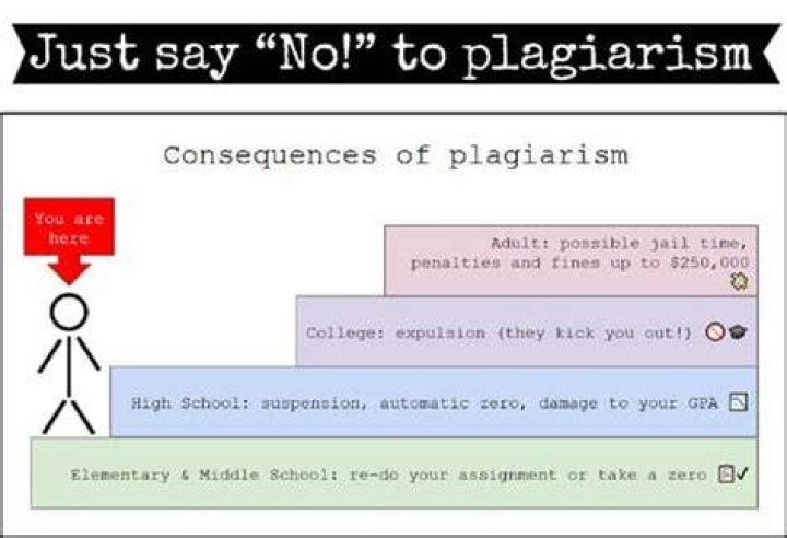 Plagiarism in the Romenesko age One strike and you&rsquo;re out Bleacher