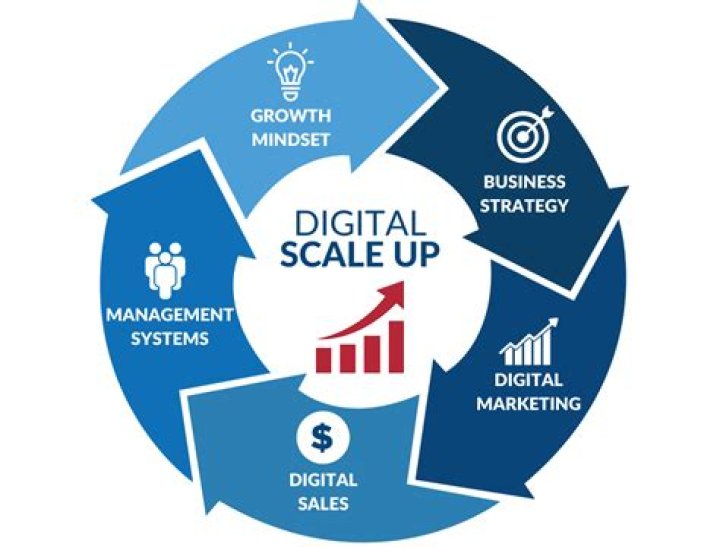 Scale Your Business With White Label Facebook Ad Management