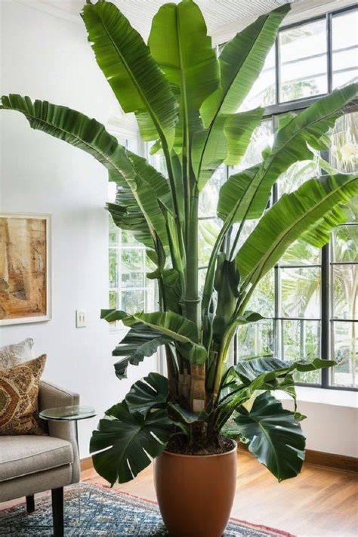 The Most Inspiring Indoor Plants Quotes And Sayings