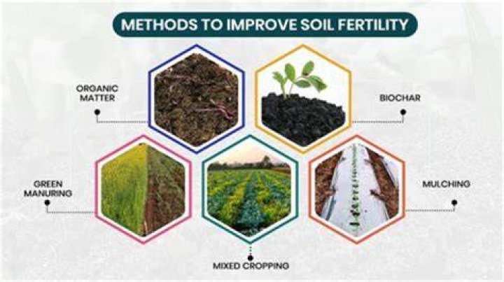 Unlocking Soil Fertility And Sustainable Agriculture