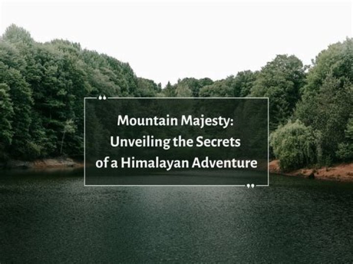 Unveiling The Secrets Of Mountain Biking Mastery: Daniel Pitout's Insights